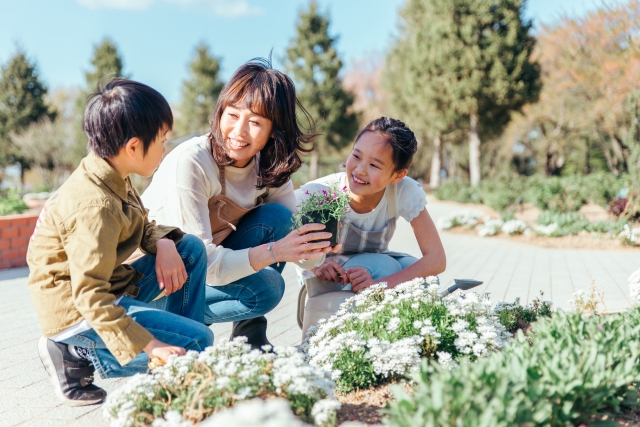 子どもの未来を広げる鍵は英語教育にあり！最新の子育てと習い事の最適解